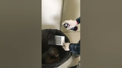 A pintura à pistola acrílica para o uso interno & exterior varia a temperatura de aplicação