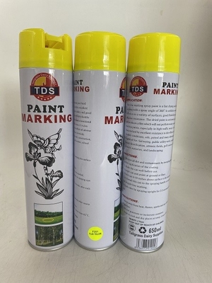 650ml linha personalizada anel-D rápido não tóxico 12pcs da pintura da marcação pela caixa